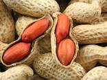 Peanuts from Uzbekistan - фото 3