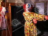 Attractions of any complexity - photo 2