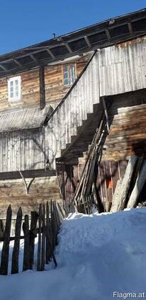 Barn wood of an old pine tree from 50 to 100 years old