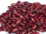 Beans variety Red for 100 gr 145-150 pcs. - фото 1