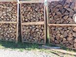 Beech Firewood - photo 1