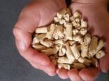 Best Price Biomass Holzpellets Fir Wood Pellets 6mm in 15kg bags for Heating System Wooden