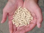 Best Price Biomass Holzpellets Fir Wood Pellets 6mm in 15kg bags for Heating - фото 2