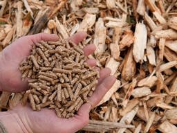 Manufacturers Fuel Pellets Bamboo Pellets 15kgs 25kgs Energy Burning Wood Pellets