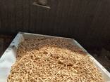 Brennstoffpellets | Laubholz | Großhandel - photo 2