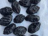 Чернослив венгерка без косточки и с косточкой из Узбекистана - фото 1