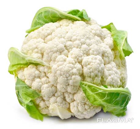 Cauliflower from Uzbekistan