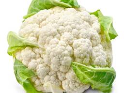 Cauliflower from Uzbekistan