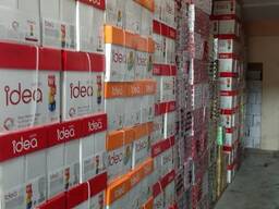 Double A4 COPY PAPER 80gms,75gms and 70 gms ready for sell