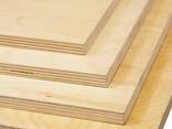 Фанера от производителя. Доставка в любую страну ЕС. Весь пакет документов. - фото 1
