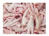 Fresh / Frozen Chicken Paws For Sale At Wholesale Price - photo 1