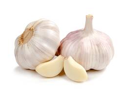 Fresh garlic