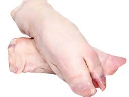 Frozen Pork Cut/Frozen Pork Trimmings Meat /Whole Fresh Boneless Pork Lion