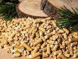 FUEL PINE PELLETS - фото 1