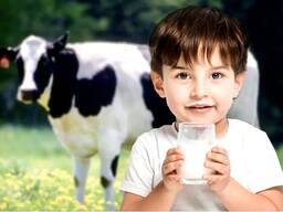 Getränk aus Milchpulver 26% Fettgehalt