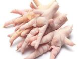 Best Quality Hot Sale Price Halal Frozen Chicken Feet | Frozen Chicken Meat - фото 5
