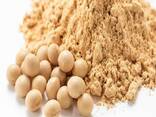 High Protein Quality Soybean Meal / Soya Bean Meal for Animal Feed /Top Quality Organic So - фото 1