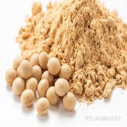 High Protein Quality Soybean Meal / Soya Bean Meal for Animal Feed /Top Quality Organic So
