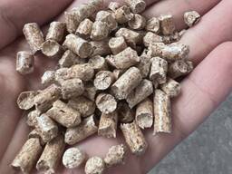Holzpellets / Wood Pellet