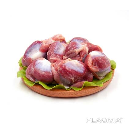 Hot sales - Frozen Chicken Gizzards / Whole Broiler Chicken For sale