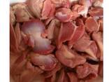 Hot sales - Frozen Chicken Gizzards / Whole Broiler Chicken For sale - photo 2