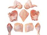 Hot sales - Frozen Chicken Gizzards / Whole Broiler Chicken For sale - фото 7