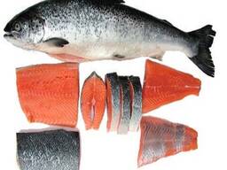 Product Name: Premium Frozen Salmon Fillets Short Description: Elevate your culinary creat