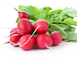 Red radish from Uzbekistan