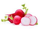 Red radish from Uzbekistan - фото 1