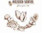 Natural cashew kernels, WW320, Burkina Faso - photo 3
