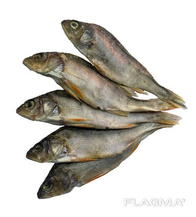 Окунь вяленый мелкий