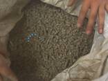 Пеллет из люцерны - Alfalfa pellets - фото 1