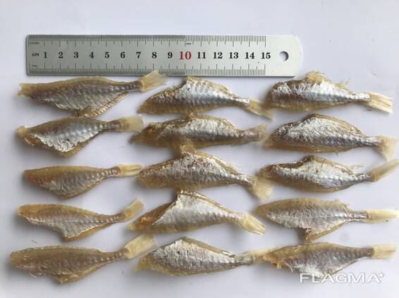 Поставки сушеной рыбы в Австрию от завода из Вьетнама.