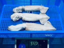 Предлагаем мороженные морепродукты в Австрию от завода из Китая