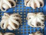 Предлагаем мороженные морепродукты в Австрию от завода из Китая - photo 6