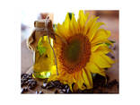 Premium quality sunflower oil in wholesale - фото 1