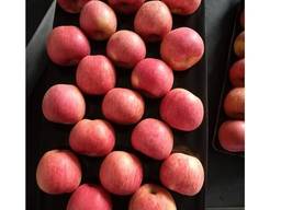 Qinguan Apples
