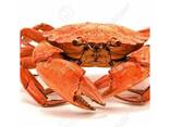 Red King Crab - фото 3