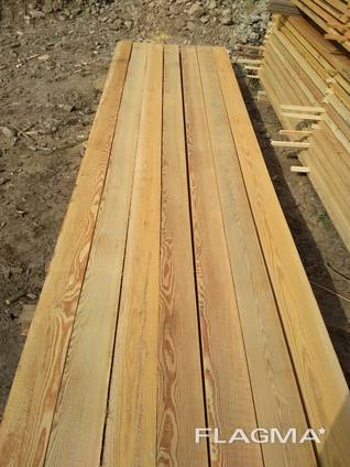 Siberian larch