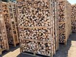 Top Quality Kiln Dried Firewood , Oak and Beech Firewood Logs for Sale - photo 1