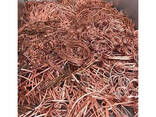 Traders of Fresh Garlic Copper Wire Scrap Suppliers, Manufacturers, Exporters for Buying T - фото 3