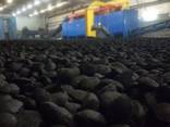 Уголь для мангала - фото 4