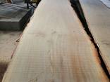 Unedged oak lumber - photo 1