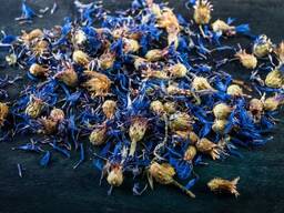 Verkauf von Blaue Kornblume in großen Mengen vom Hersteller zu den besten Preisen