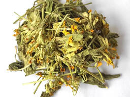 Verkauf von Echte Schlüsselblume in großen Mengen vom Hersteller zu den besten Preisen