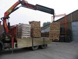 Verkaufe Brennholz in Paletten - photo 3