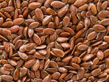 We sell brown flax. - photo 1