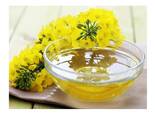 Wholesale Price Refined Rapeseed Oil / Canola Cooking Oil Bulk Stock Available For Sale - фото 1