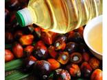Wholesale Top Quality Pure Palm Oil For Cooking Factory Price Pure Palm Oil - photo 2