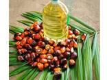 Wholesale Top Quality Pure Palm Oil For Cooking Factory Price Pure Palm Oil - photo 3